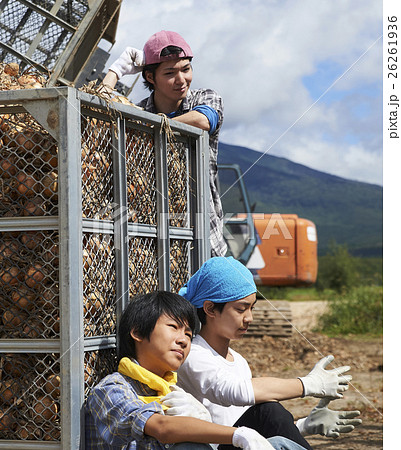 農業体験をする若者 農業体験をする若者 26261936