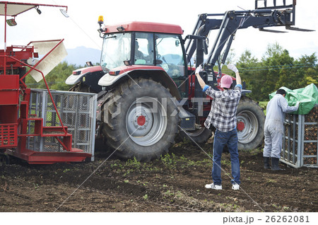 農業イメージ 野菜の収穫 農業イメージ 野菜の収穫 26262081