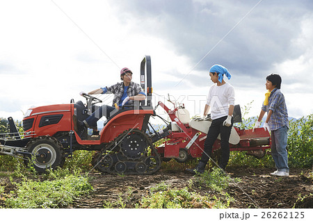 農業体験をする若者の写真素材 [26262125] - PIXTA