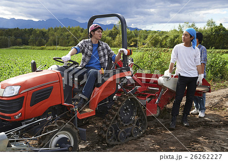 農業体験をする若者 26262227