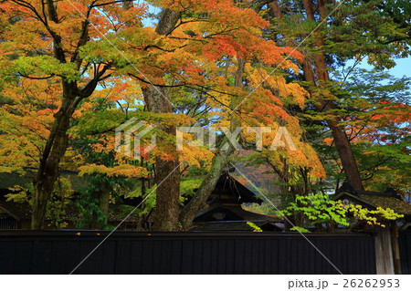 紅葉の角館 紅葉の角館 26262953