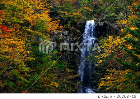 蛇王の滝 蛇王の滝 26263719