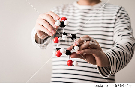 分子構造 26264516