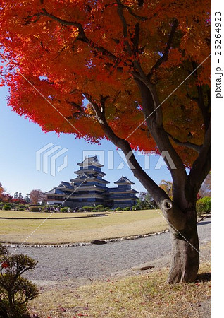 信州　松本の秋　紅葉に彩られる国宝松本城　現存１２天守のひとつ　松本観光の中心 26264923
