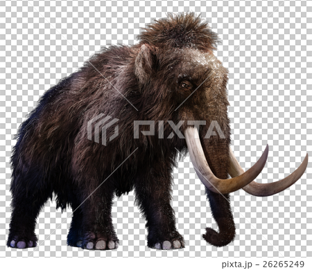 Mammothのイラスト素材 [26265249] - PIXTA