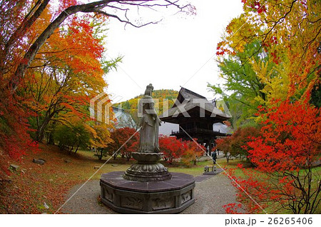 紅葉の霊松寺山門 信州 安曇野大町の古刹 鎌倉時代の創建 紅葉の霊松寺山門 信州 安曇野大町の古刹 鎌倉時代の創建 26265406