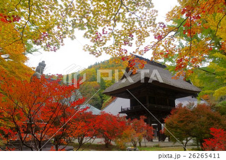 紅葉の霊松寺山門　信州　安曇野大町の古刹　鎌倉時代の創建 26265411