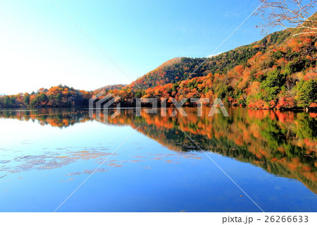 奥日光 湯ノ湖 奥日光 湯ノ湖 26266633