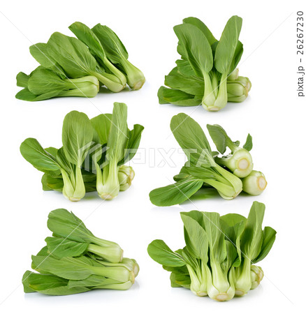 Bok choy vegetable on white background Bok choy vegetable on white background 26267230