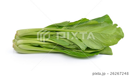 Chinese mustard green on white background  26267248
