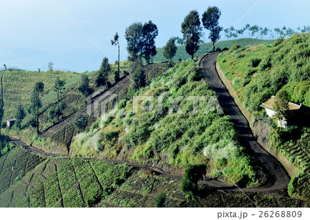 Natural scenery in Argosari 26268809