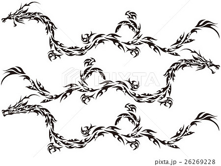 トライバル ドラゴンのイラスト素材