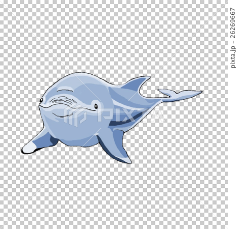 Dolphin transmission 26269667