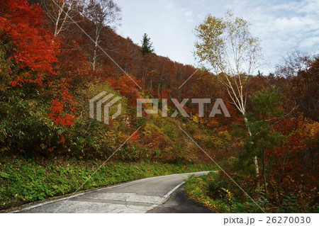 有峰林道の紅葉 有峰林道の紅葉 26270030