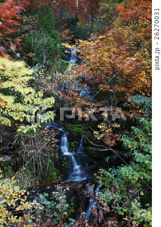 有峰林道の紅葉 有峰林道の紅葉 26270031