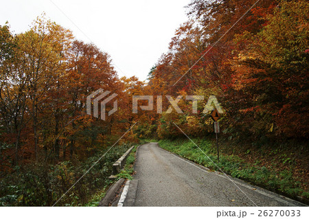 有峰林道の紅葉 26270033