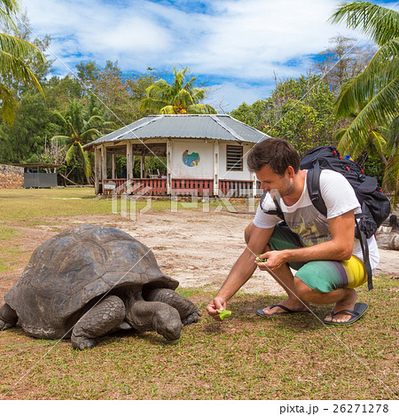 Tourist feeding Aldabra giant tortoises on 26271278