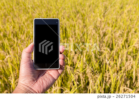 米の栽培・生産の管理(10月) 米の栽培・生産の管理(10月) 26271504