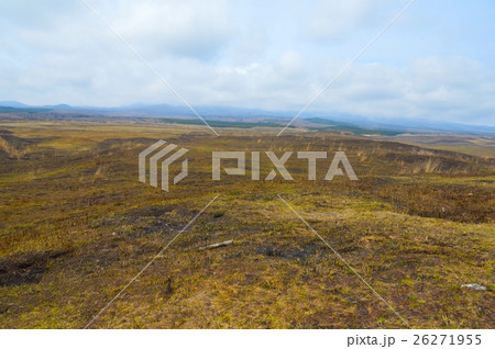 東富士演習場(静岡県御殿場市・小山町・裾野市) 東富士演習場(静岡県御殿場市・小山町・裾野市) 26271955