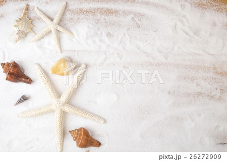 Sand beach with a lot of seashells and starfish. Sand beach with a lot of seashells and starfish. 26272909