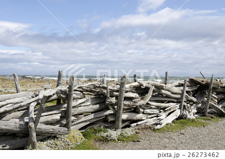 View of Seno Otway - Patagonia - Chile 26273462