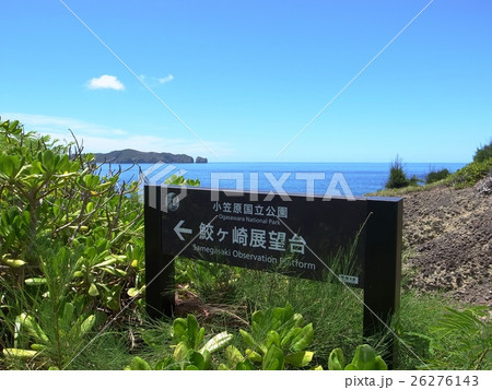 母島・鮫ケ崎展望台 26276143