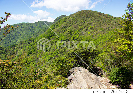 新緑の山 万二郎岳から万三郎岳を望む 天城山 新緑の山 万二郎岳から万三郎岳を望む 天城山 26276430