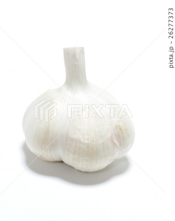 ニンニク 26277373