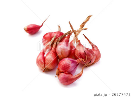 Red onion on white background raw material cooking 26277472