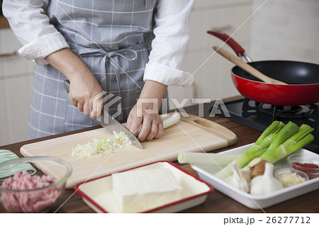 ネギを刻む女性 26277712