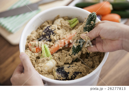 ぬか床に野菜を漬けこむ女性 ぬか床に野菜を漬けこむ女性 26277813