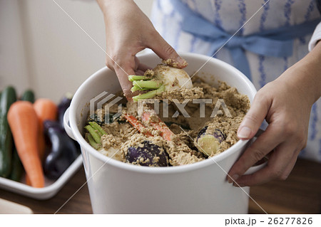 ぬか床に野菜を漬けこむ女性 26277826