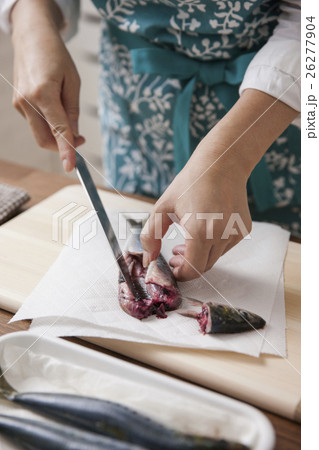 イワシの下処理をする女性 26277904