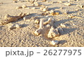 夏の忘れもの 26277975