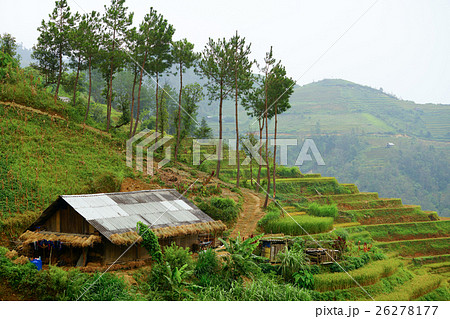 Hmong village 26278177