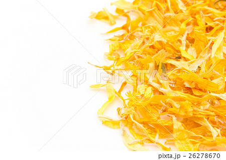 トウキンセンカ カレンデュラ ハーブ: Calendula flowers トウキンセンカ カレンデュラ ハーブ: Calendula flowers 26278670