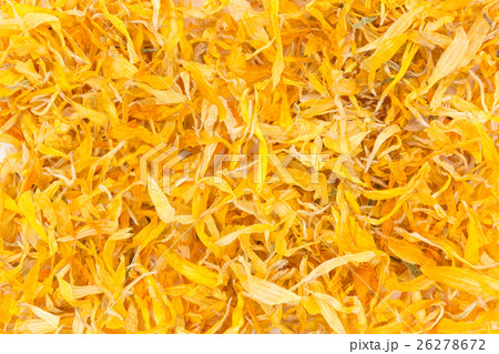 トウキンセンカ　カレンデュラ ハーブ： Calendula flowers 26278672