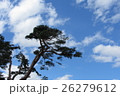 松と青空 26279612