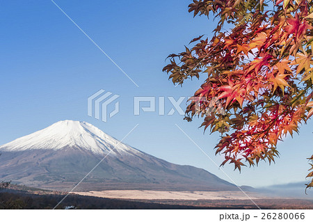 紅葉　富士山　 26280066