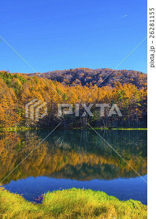 御射鹿池の紅葉 26281155