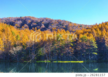 御射鹿池の紅葉 26281157