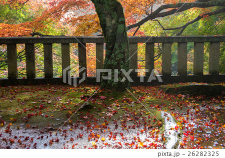 四国第八十二番札所根香寺の紅葉 26282325