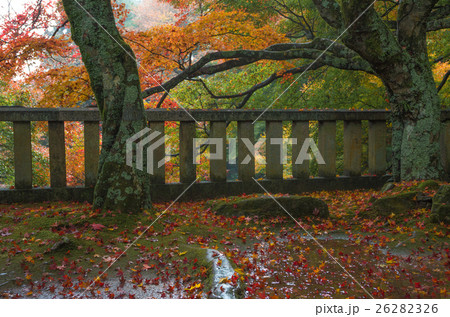 四国第八十二番札所根香寺の紅葉 26282326