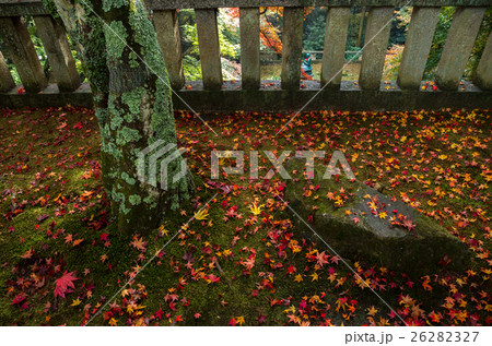 四国第八十二番札所根香寺の紅葉 26282327