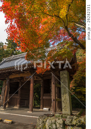 四国第八十二番札所根香寺の紅葉 26282331