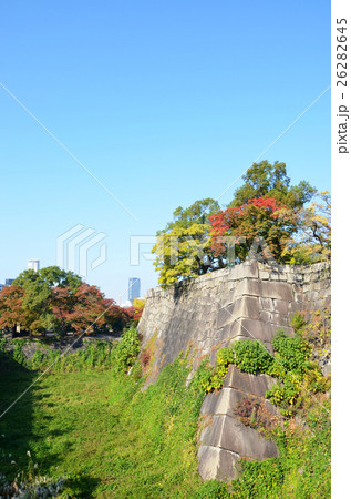 秋の大阪城公園 26282645