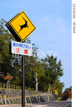奈良公園 鹿の飛び出し注意の写真素材 26283223 Pixta