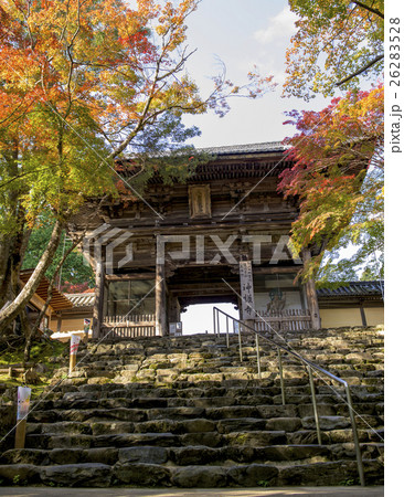 秋の京都・神護寺 26283528