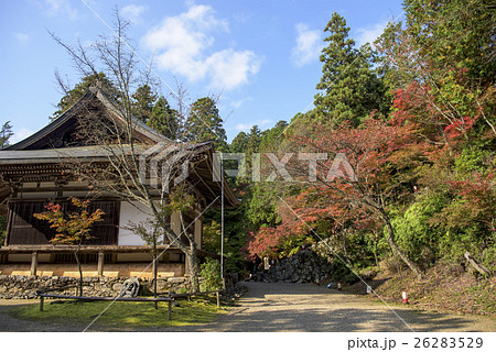 秋の京都・神護寺 秋の京都・神護寺 26283529