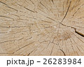 Detail of wooden structure 26283984